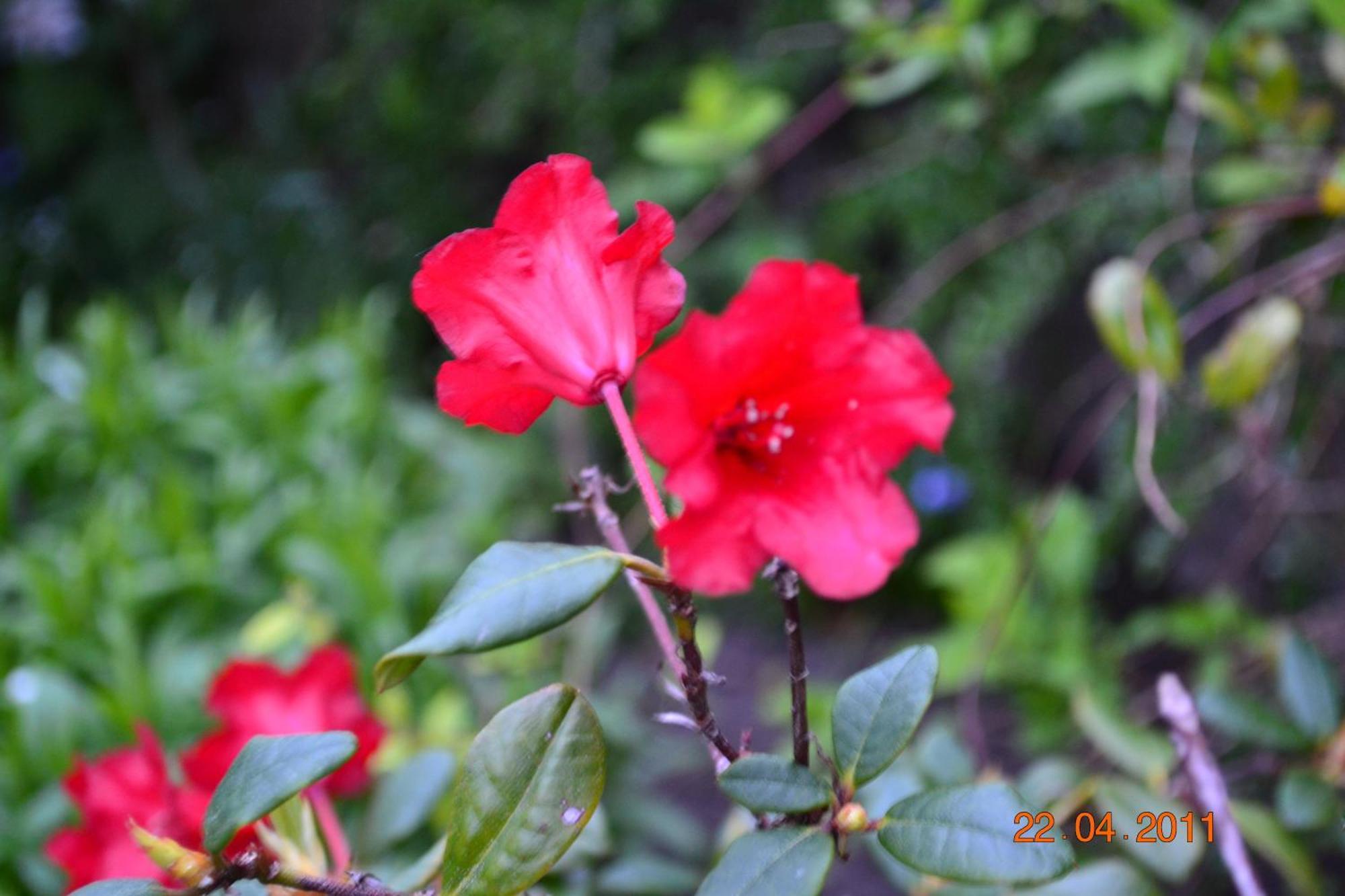 Bed and Breakfast Miller House Courtyard Ер Екстер'єр фото